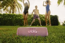 JBL Flip 6 - Pink