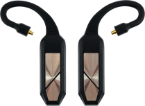 iFi Audio GO Pod